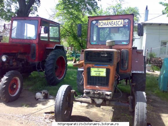 VIND: - geoo - VINZARI CUMPARARI